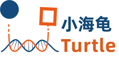 上海小海龟