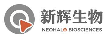 新辉