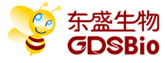 东盛