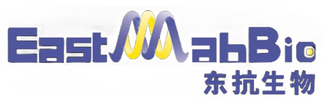 东抗