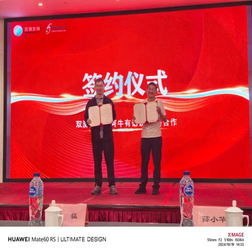 管理咨询